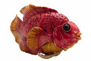 Шкатулка сувенирная в виде рыбки S-4266 красный